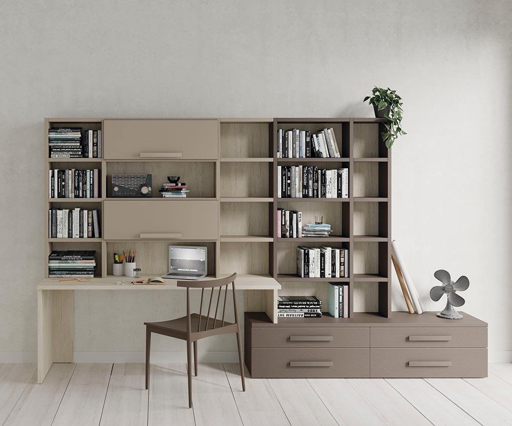 Composición de estantería con escritorio y mueble bajo