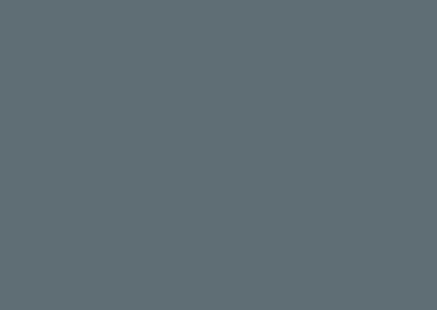 Color Bruma